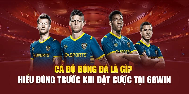 cá độ bóng đá là gì